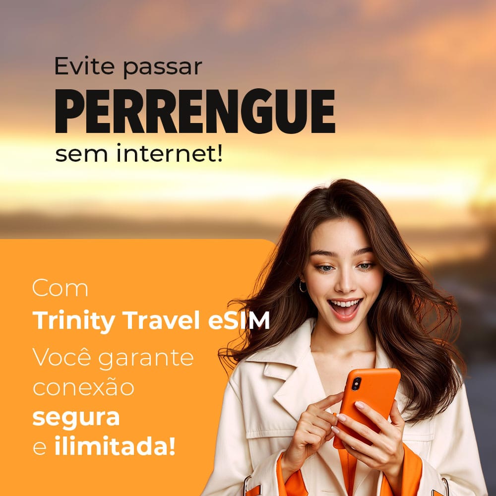 Evite passar perrengue